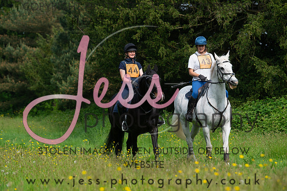 JES_8173
