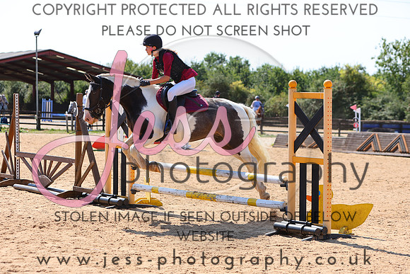 TSJ_0953