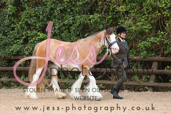 TGS_0190
