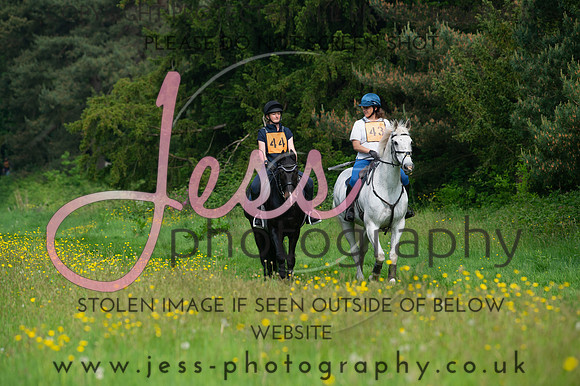 JES_8168