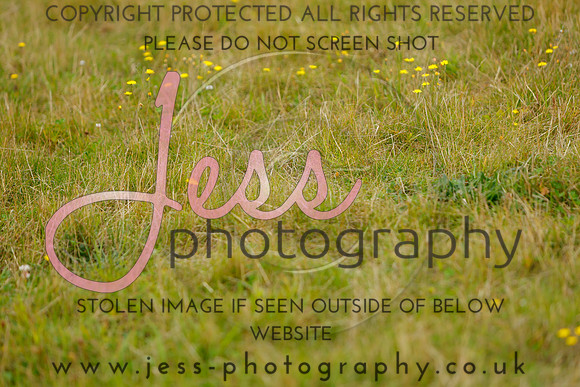 _MGM0568