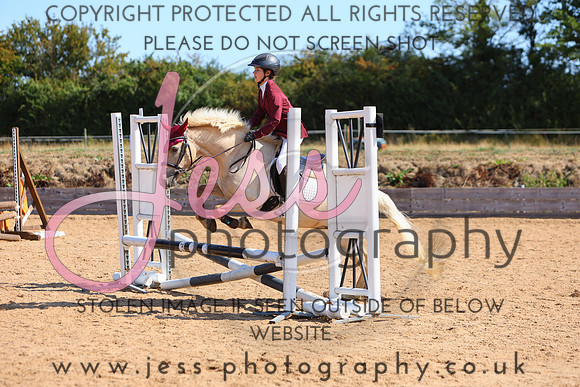 TSJ_0597
