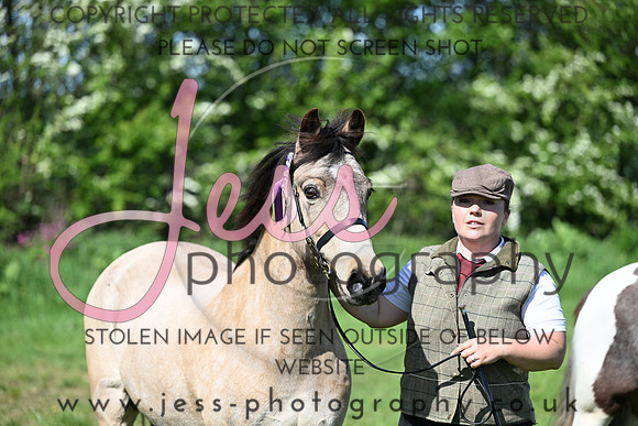 TGIS (174)