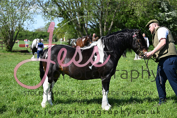 TGIS (130)