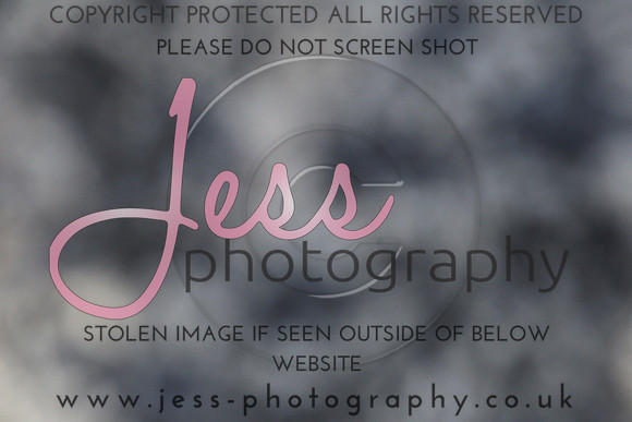 JES_5699