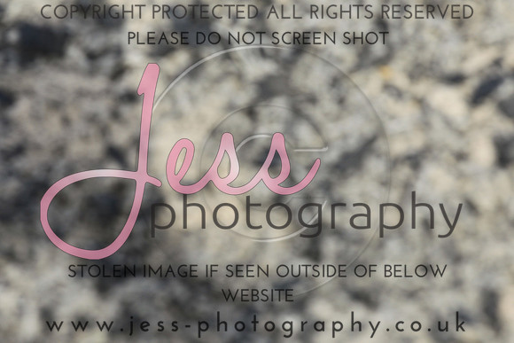 JES_5990