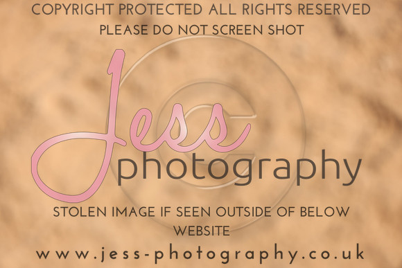 TSJ_0892