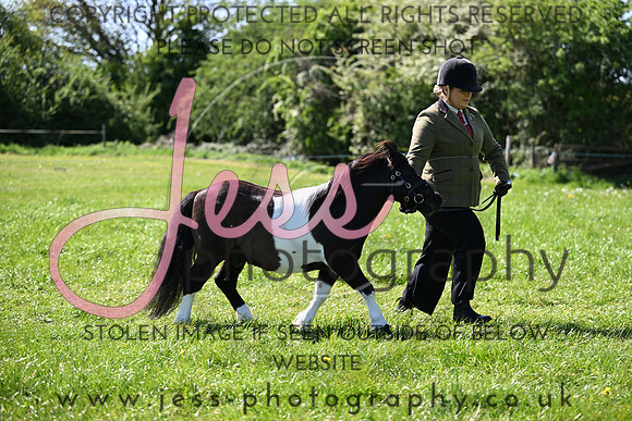 TGIS (122)