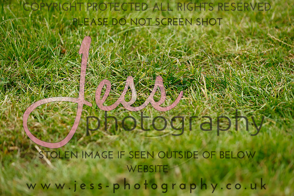 _MGM0803