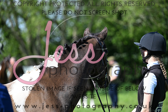 TGIS (138)