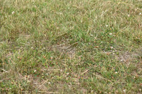 JPG_7127