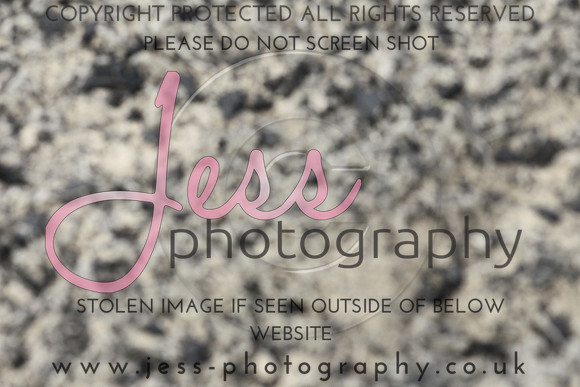 JES_6336