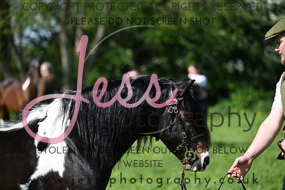 TGIS (131)