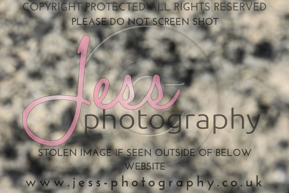 JES_5713
