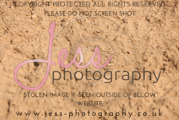 TSJ_0945