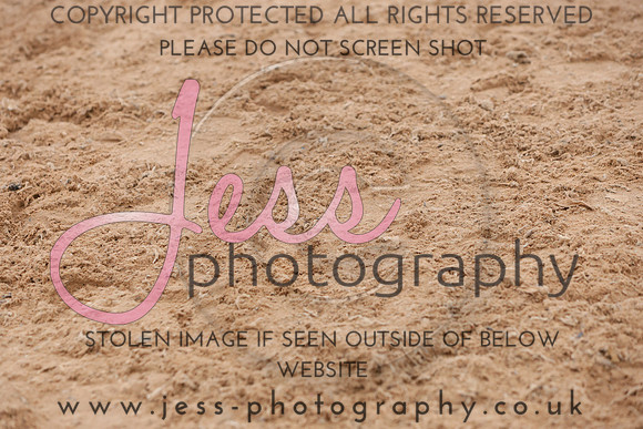 TGSJ0685