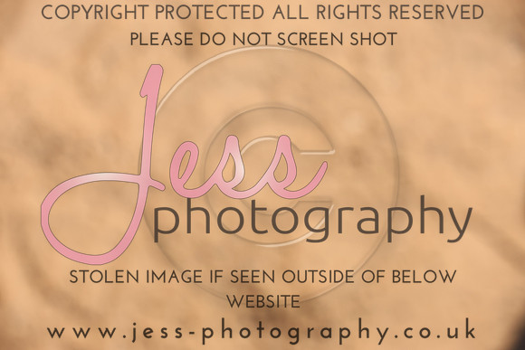 TSJ_1059